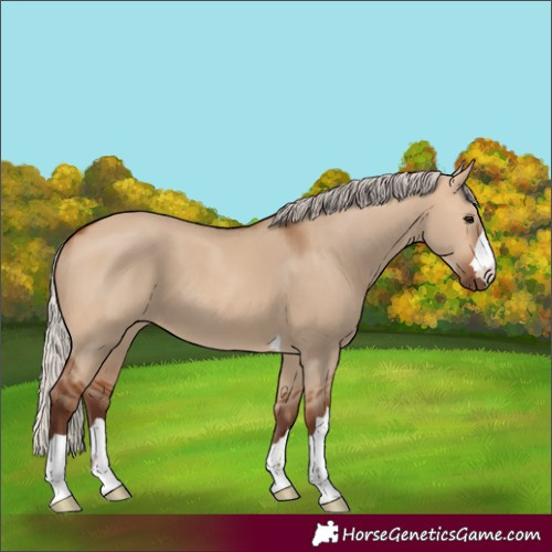 Horse Color:Silver Bay Dun 