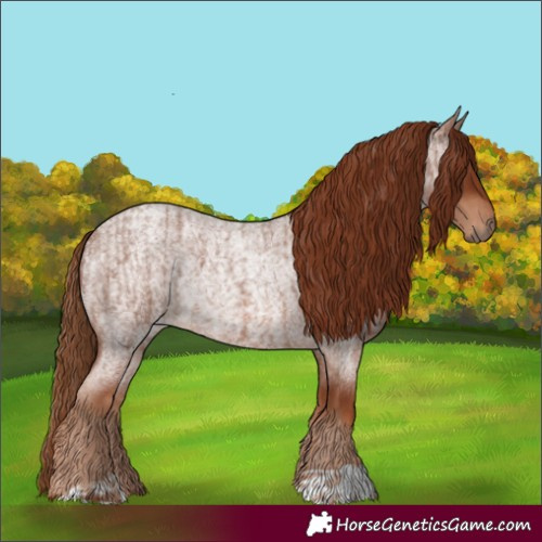 Horse Color:Red Roan and Red Roan