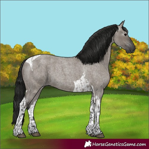 Horse Color:Unknown 
