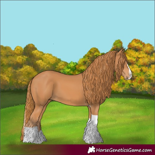 Horse Color:Chestnut Splash Tobiano