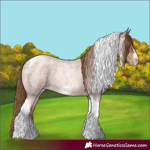 Horse Color:Liver Red Roan Pearl Tobiano Frame 