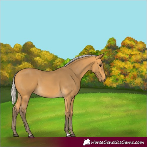 Horse Color:Silver Buckskin