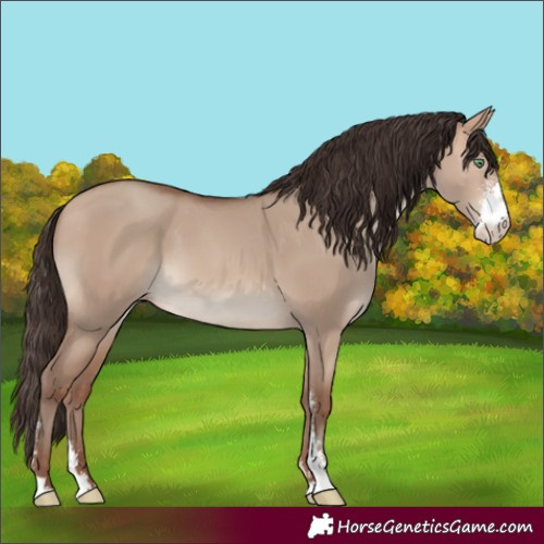 Horse Color:Sable Champagne Dun Sabino