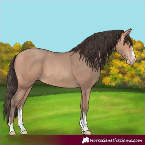 Horse Color:Amber Champagne Sabino 