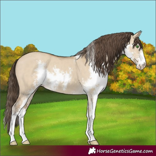 Horse Color:Classic Cream Champagne Dun Sabino