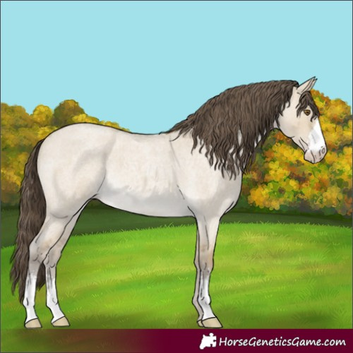 Horse Color:Classic Cream Champagne Roan Dun Sabino