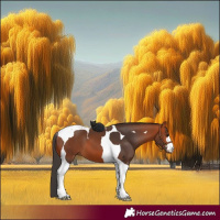 Horse Color:Bay Tobiano 