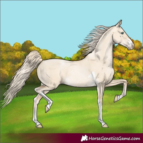 Horse Color:Palomino Pearl Dun Sabino Tobiano