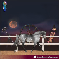 Horse Color:Gray White Spotted Brown 