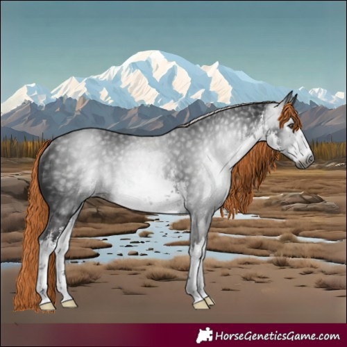 Horse Color:Gray White Spotted Liver Chestnut Rabicano