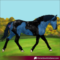 Horse Color:ERROR: UNKNOWN ANOMALY