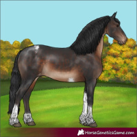 Horse Color:Brown Tobiano Varnish