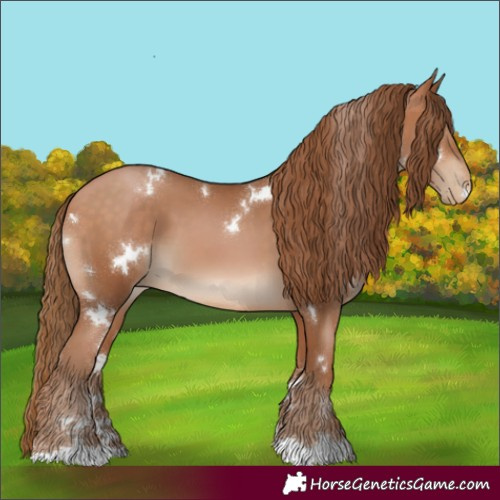 Horse Color:White Spotted Bay Pearl 