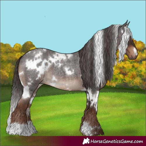 Horse Color:White Spotted Liver Red Roan 