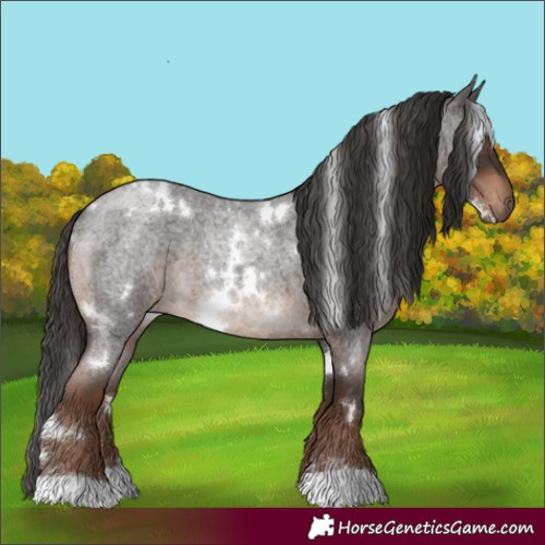 Horse Color:White Spotted Liver Red Roan 