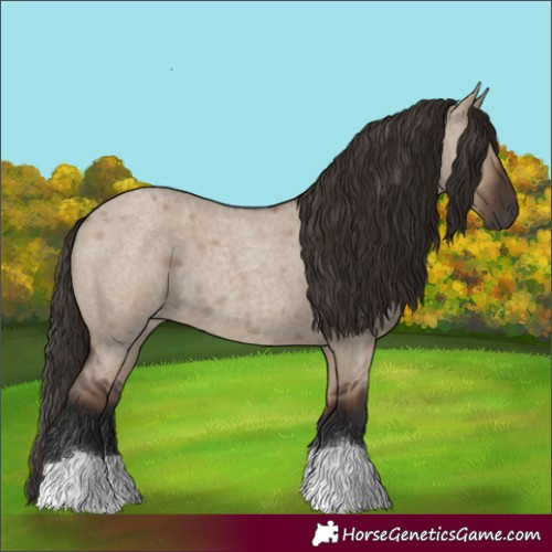 Horse Color:Liver Red Dun Roan 