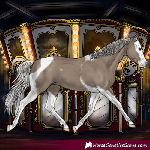Horse Color:Silver Grullo Splash Tobiano 