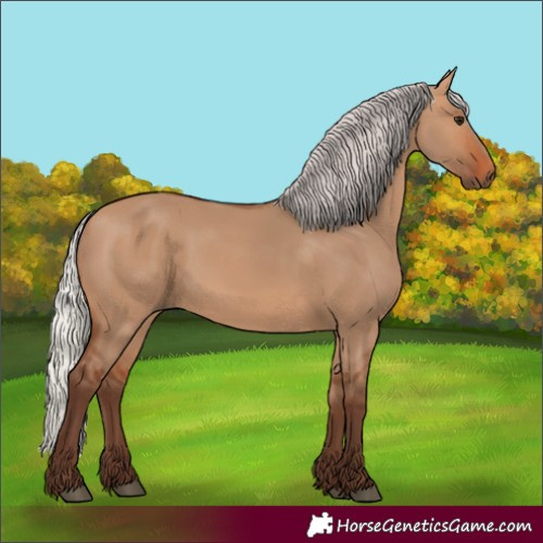 Horse Color:Silver Bay Dun