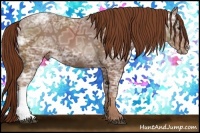 Horse Color:Chestnut Ice 