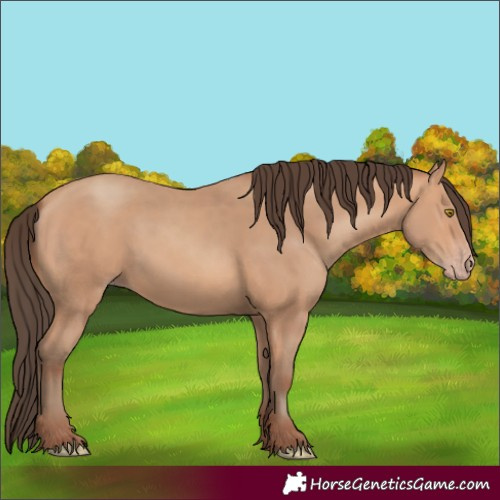 Horse Color:Amber Champagne 