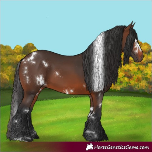 Horse Color:White Spotted Brown 