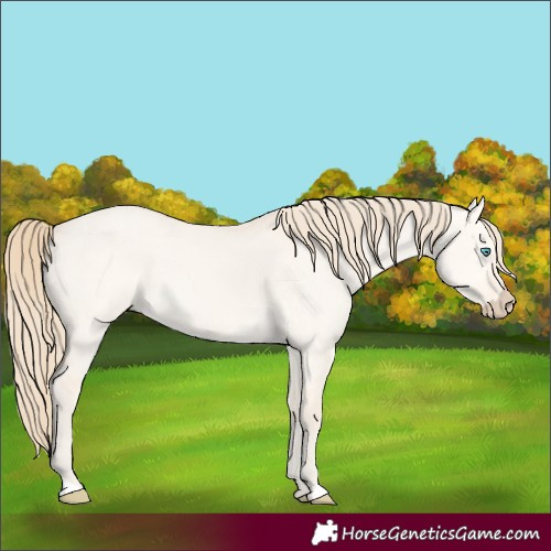 Horse Color:Perlino Dun 