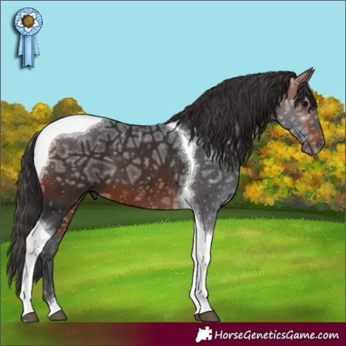 Horse Color:Bay Ice Tobiano
