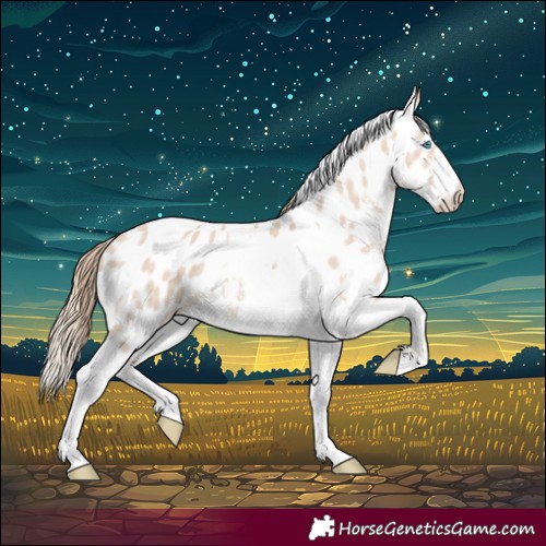 Horse Color:Perlino Sabino Tobiano Appaloosa Rabicano 