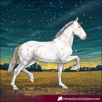 Horse Color:Perlino Sabino Tobiano Leopard Rabicano