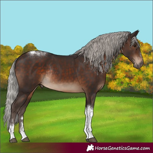 Horse Color:Silver Brown Tobiano Rabicano