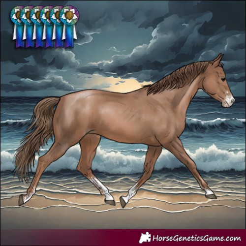 Horse Color:Black Pearl Sabino Rabicano 