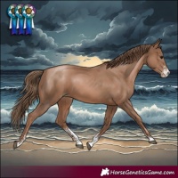 Horse Color:Black Pearl Sabino Rabicano 