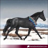 Horse Color:Black 