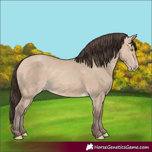 Horse Color:Amber Champagne Dun 