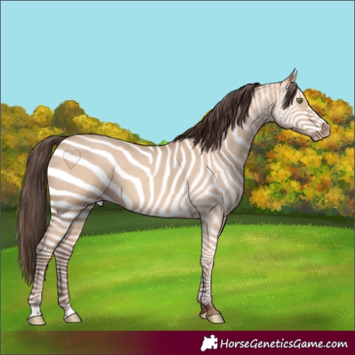 Horse Color:Amber Champagne Dun
