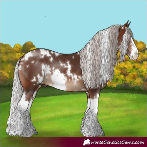 Horse Color:White Spotted Silver Brown Splash 
