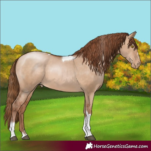 Horse Color:Brown Pearl Dun Tobiano
