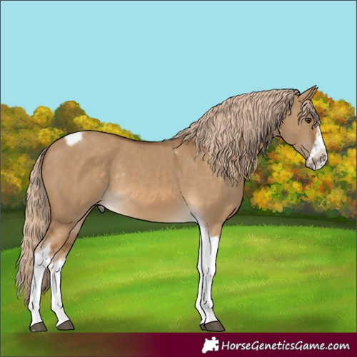 Horse Color:Chocolate Palomino Dun Tobiano Frame Rabicano