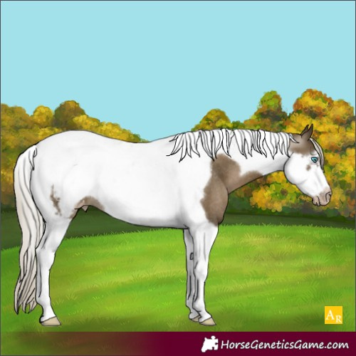 Horse Color:Gray Silver Smoky Black Pearl Tobiano Frame Varnish Rabicano