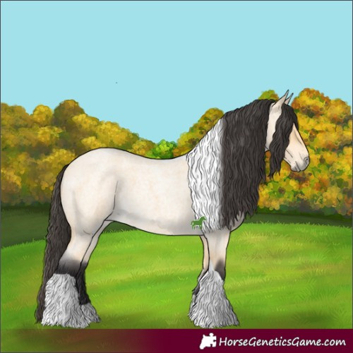 Horse Color:Buckskin Roan Tobiano 