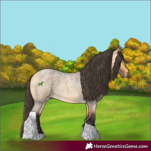 Horse Color:Buckskin Roan Tobiano 