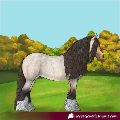 Horse Color:Buckskin Roan Tobiano 