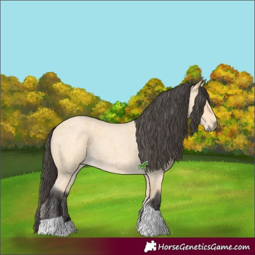 Horse Color:Buckskin Roan Tobiano 