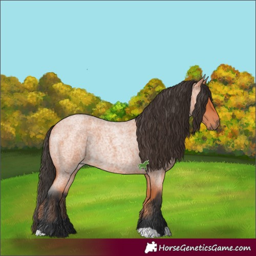 Horse Color:Bay Roan Rabicano
