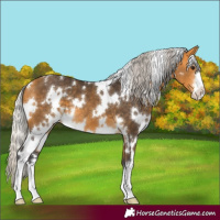 Horse Color:White Spotted Silver Buckskin