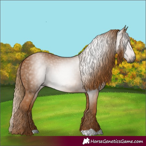 Horse Color:Gray Chestnut