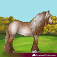 Horse Color:Gray Chestnut
