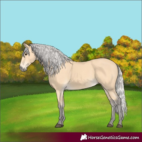Horse Color:Silver Buckskin