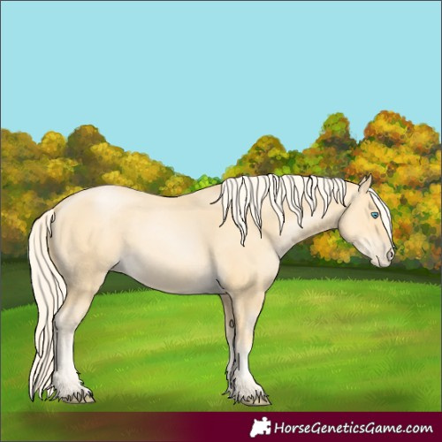 Horse Color:Palomino Pearl