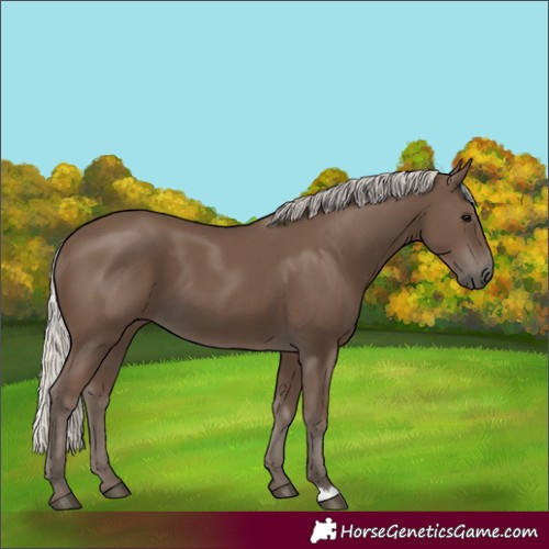 Horse Color:Silver Black 